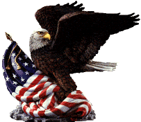 flag-and-eagle.gif (12004 bytes)