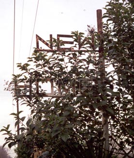 NewHome1.jpg (41674 bytes)