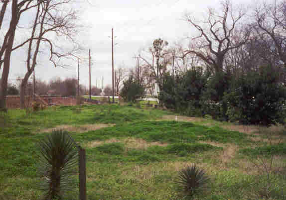 NewHome3.jpg (17307 bytes)