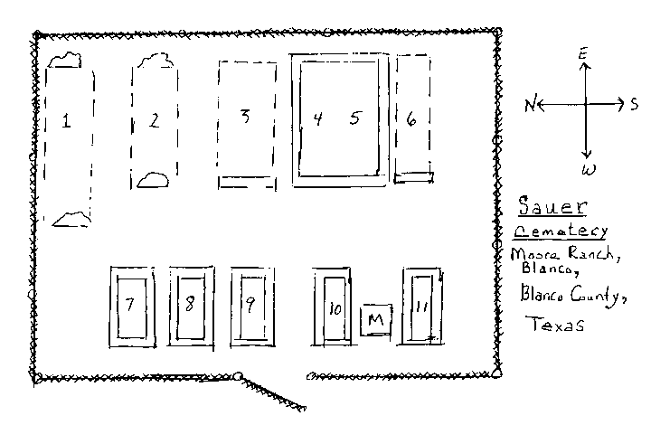 SauerCemDiagram.gif (34306 bytes)