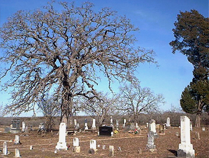 County by Gloria B. Mayfield Cemeteries of Texas